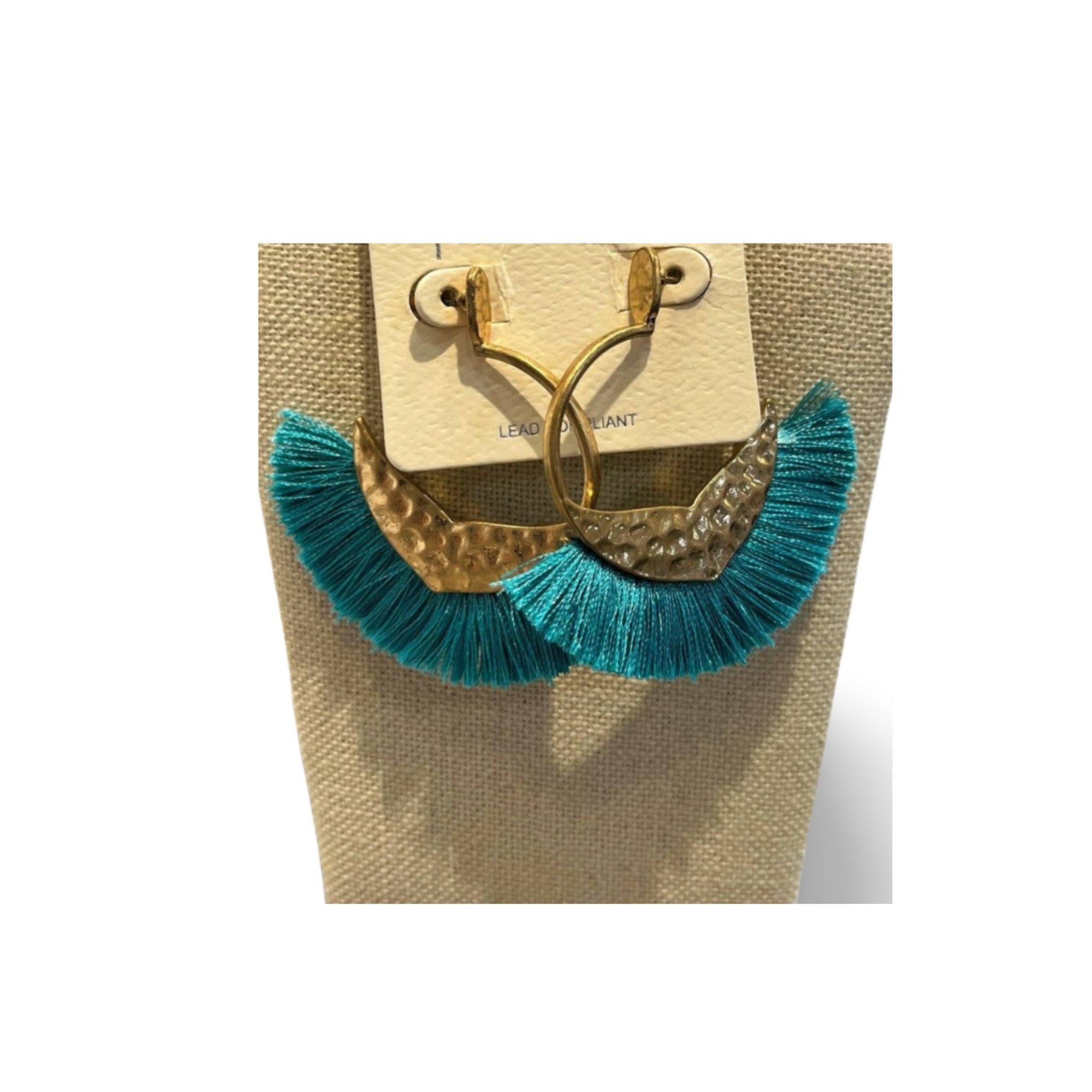 Fringe Fan Tassel  Drop Earrings